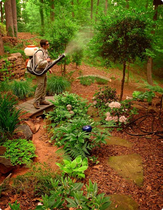 Mosquito Misting Treatments in Fishers IN