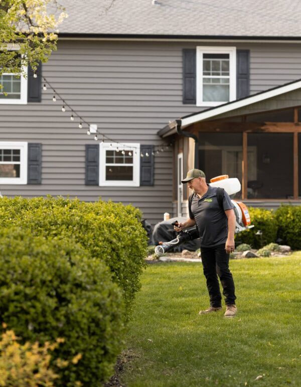 Mosquito Control Services in Westfield IN