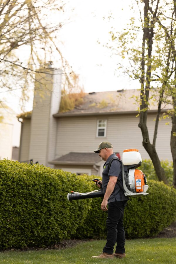Mosquito Control Treatment Experts in Indianapolis