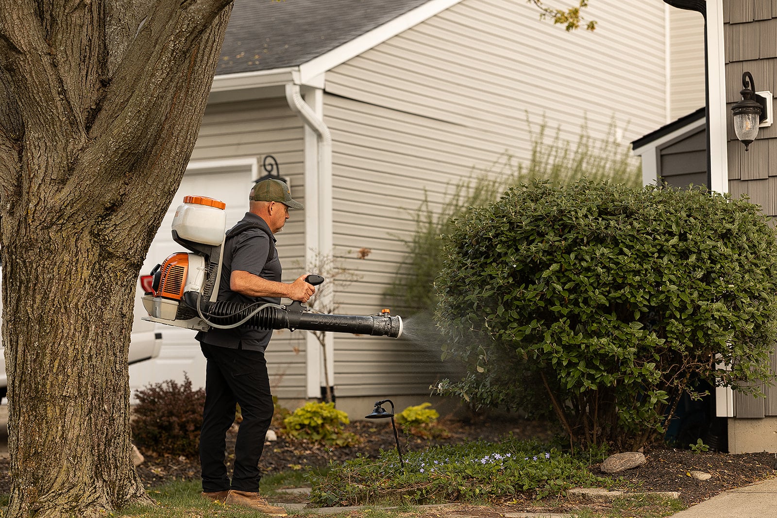 Mosquito Control, Fishers, IN