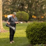 Mosquito Control Fishers, IN