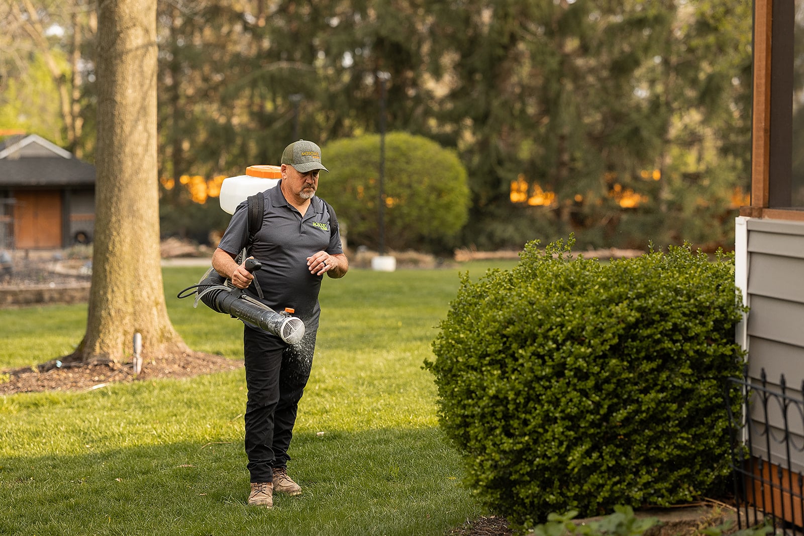 Mosquito Control Fishers, IN