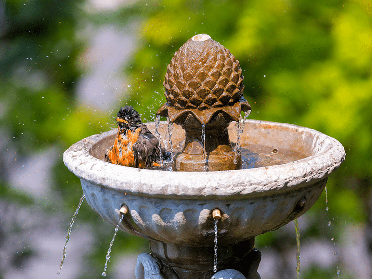 Water Feature in Backyard Fishers, IN