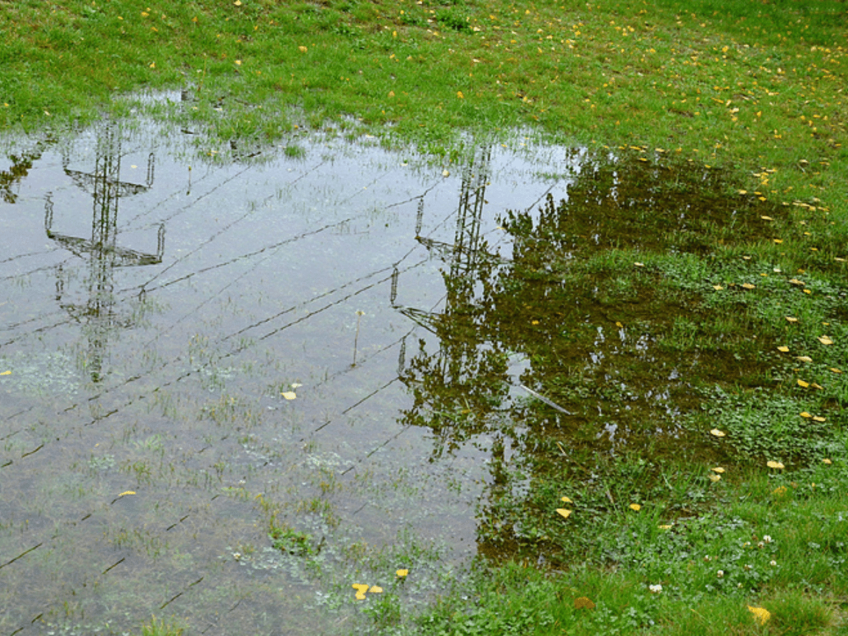 Poor Lawn Drainage Fishers, IN