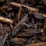 Mosquito in Mulch Bed